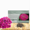 Outsidepride Purple Prince Zinnia Seeds - 1000 Pcs Annual, Low Maintenance and Long-Blooming, Flower Seeds for Planting w/Aesthetic Wide Purple Blooms, Ideal for Cut Flowers & Pollinator Gardens