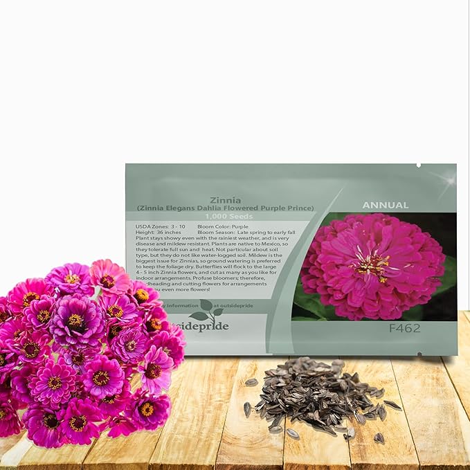 Outsidepride Purple Prince Zinnia Seeds - 2000 Pcs Annual, Low Maintenance and Long-Blooming, Flower Seeds for Planting w/Aesthetic Wide Purple Blooms, Ideal for Cut Flowers & Pollinator Gardens