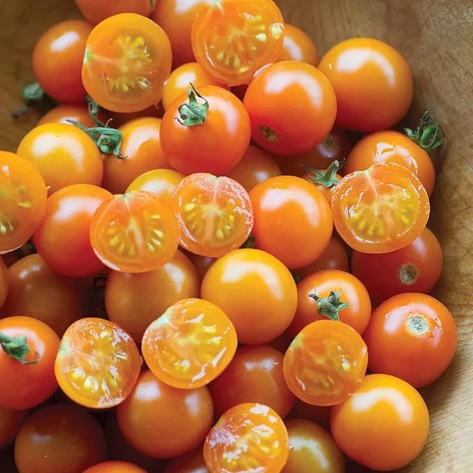 ZEshops100pcs Patio Choice Yellow Cherry Tomato Seeds - Heirloom, Non-GMO, Super Sweet Variety - Complete Guide Included for Home Gardens, Ideal Gardening Gift (Yellow Cherry Tomato Seeds)
