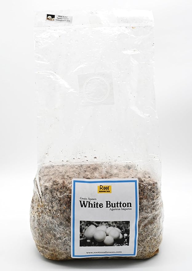 Root Mushroom Farm- White Button Grain Spawn(NOT A GROW KIT)