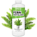 Fern Fertilizer – Liquid Plant Food for Fuller Fronds, Deep Green Color & Lush Growth, 32 oz