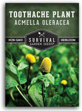 Toothache Plant Seeds for Planting - Acmella Oleracea Spilanthes Buzz Button Electric Daisy Medicinal Herb & Edible Flower - Heirloom Non-GMO Open Pollinated - Survival Garden Seeds (1 Pack)