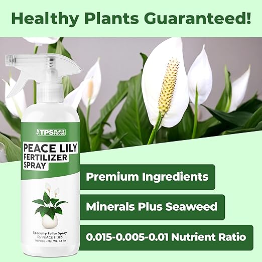 Peace Lily Fertilizer Spray – Fast-Acting Mist for Deep Green Leaves & Longer Blooms (16 oz)