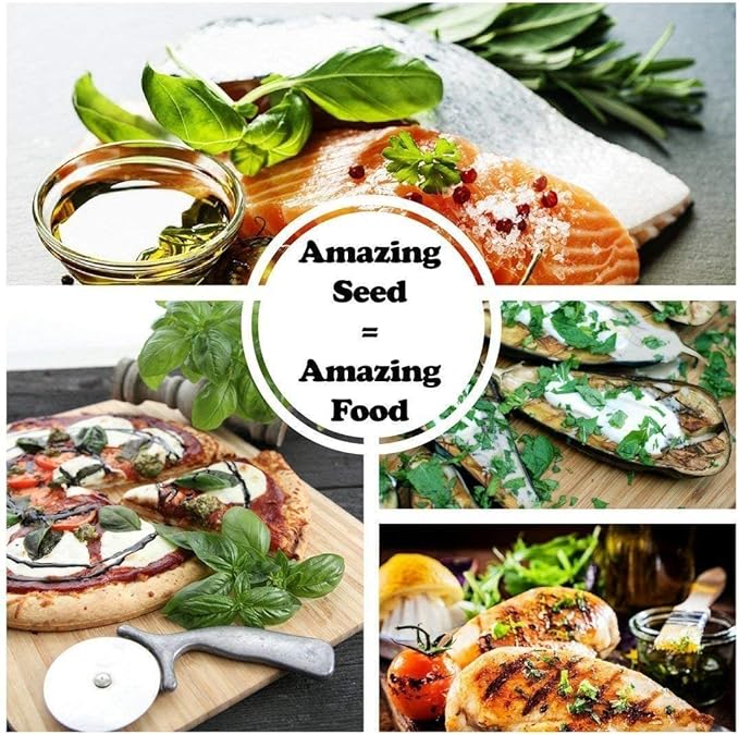 12 Culinary Herb Seeds Assortment - Non-GMO Herb Garden Starter Set - Grow Cooking Herbs: Parsley, Thyme, Cilantro, Basil, Dill, Oregano, Sage & More