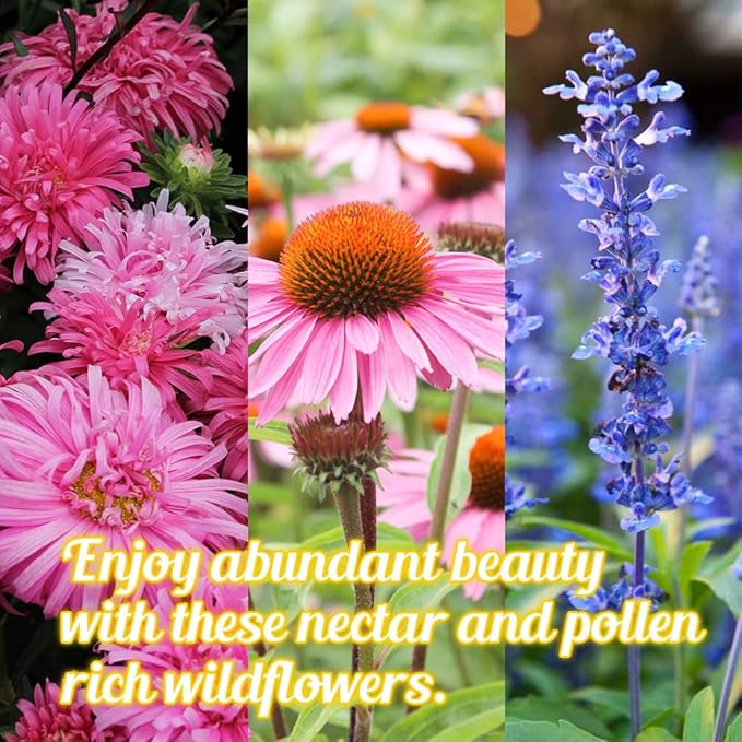 Honey Source Wildflower Seeds Mix for Honey Bees 1oz - Premium Annual and Perennial Flower Seed Mix – Bulk Planting for Pollinator
