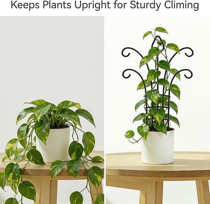 4 Pack Small Plant Trellis for Potted Plants，Metal Indoor Plant Trellis for Climbing Plants，Matte Black Mini Trellis Support with 5-Prong Base & 50 Ties, for Pothos Hoya Ivy, Gift for Plant Lovers