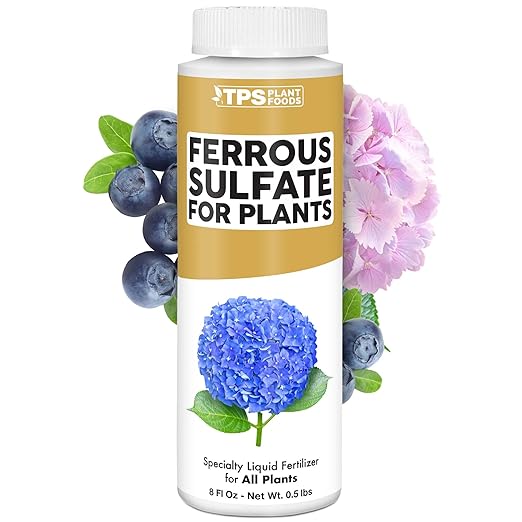 Ferrous Sulfate for Plants – Liquid Iron Supplement for Greener Leaves, Improved Chlorophyll Production & Reduced Yellowing, 8 oz