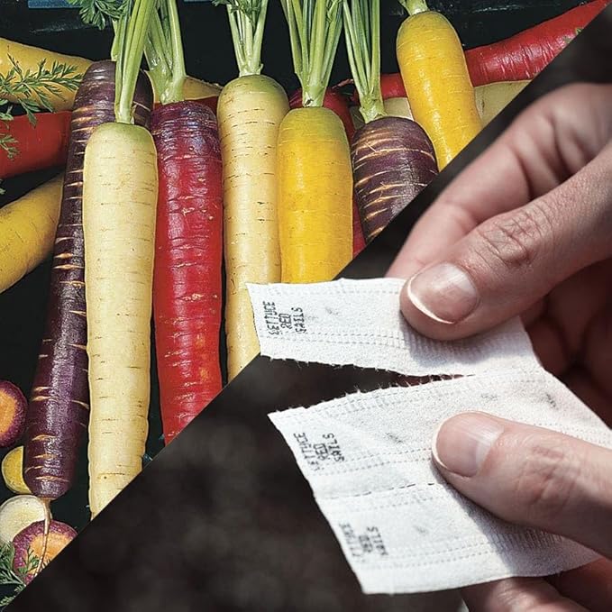 Park Seed Easy DIY Planting Sow Effortless Collection Seed Tape, Rainbow Blend Carrot, 15 Feet