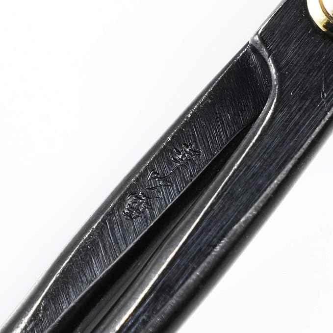 Wazakura Twig Bonsai Scissors Made in Japan 210mm(8.15 inch), Japanese Bonsai Garden Tools, Hasami Pruning Shears - Long Handle Black