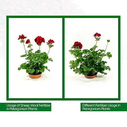 Wool Pellet Organic Fertilizer (4 * 2,2 lbs), Made of Sheep Wool, Water Holding, Enhances Soil Health, Ideal for Fruits, Vegetables, Flowers, Indoor and Outdoor Plants - 4 Pack