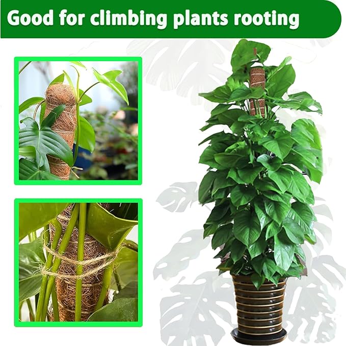 Moss Pole, 2 Pack 17 Inch Monstera Plant Support for Climbing Plants Accessories Indoor, Stackable Moss Poles Plant Support Stakes, Coir Plant Pole Sticks for Potted Plants, Pothos, Philodendron