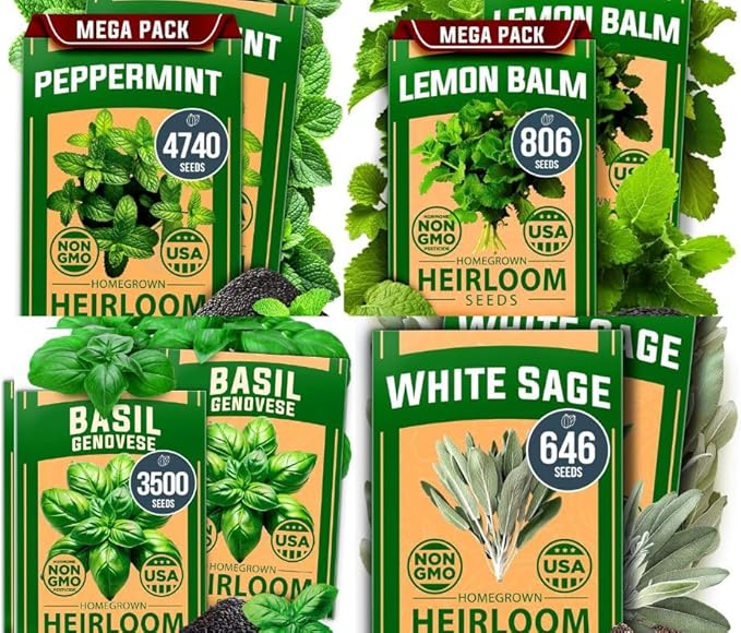 HOME GROWN Genovese Basil Seeds 2 Pack 3500 & Peppermint 4,740 & White Sage 646 & Lemon Balm 806