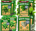 HOME GROWN Genovese Basil Seeds 2 Pack 3500 & Peppermint 4,740 & White Sage 646 & Lemon Balm 806