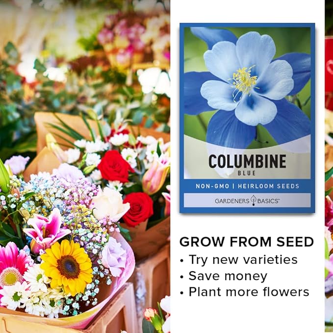 Gardeners Basics, Blue Columbine Seeds for Planting (Aquilegia Seeds) - Beautiful Blue Perennial Flower to Plant in Your Flower Garden Open Pollinated, Non-GMO