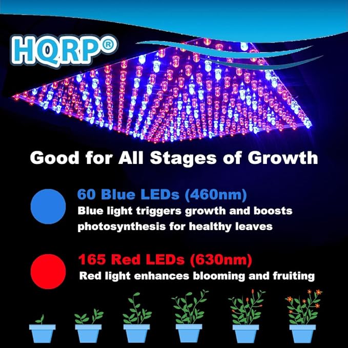 HQRP 225 LED Blue + Red Plant Grow Light Panel 14 Watt w/Hanging Kit Indoor Garden Hydroponic