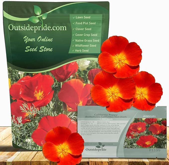 Outsidepride Red Chief California Poppy Seeds for Planting - 1/4 Lbs. Annual, Drought-Tolerant & Easy to Grow Wildflower Seeds with Vibrant Blooms for Landscaping, & Pollinator Garden