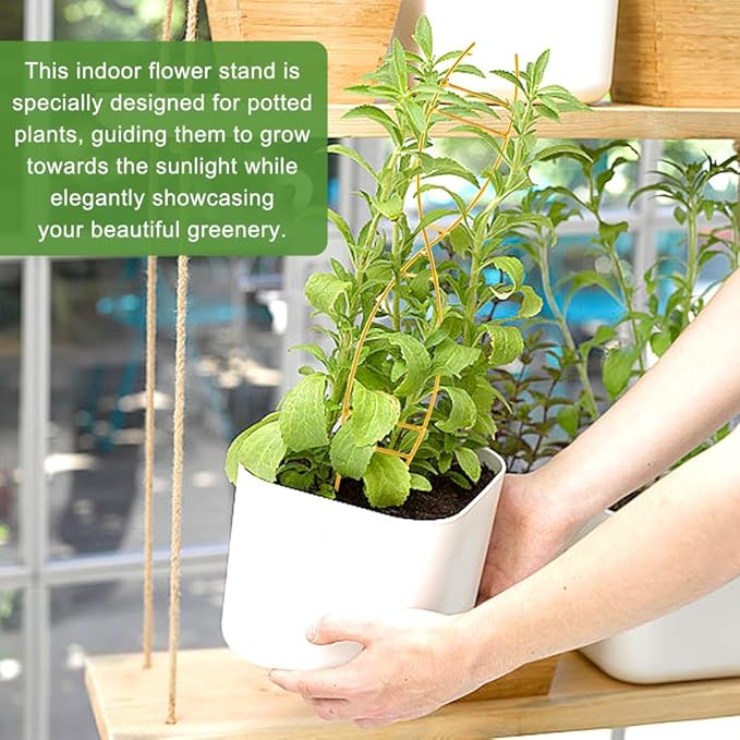 3PCS Indoor Plant Trellis for Potted Plants, Trellis for Climbing Plants Indoor, Metal Climbing Support with Unique DNA Spiral Design, Easy Installation Plant Support