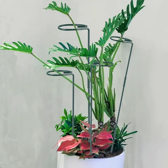 Plant Stake Support - 6 Pack Adjustable Height 16" or 30", Garden Support Stake Plant Cage Support Rings, Single Stem Plant Support Stakes, for Flowers Amaryllis Tomatoes Peony Lily Rose (30inch)