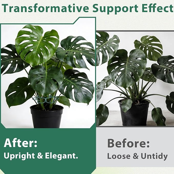 4 Pcs Plant Stem Supports for Indoor Plants, Iron Monstera Plant Support Stakes Plant Supports for Indoor Plants Holders Climbing and Thriving Growth Decorative Accessories