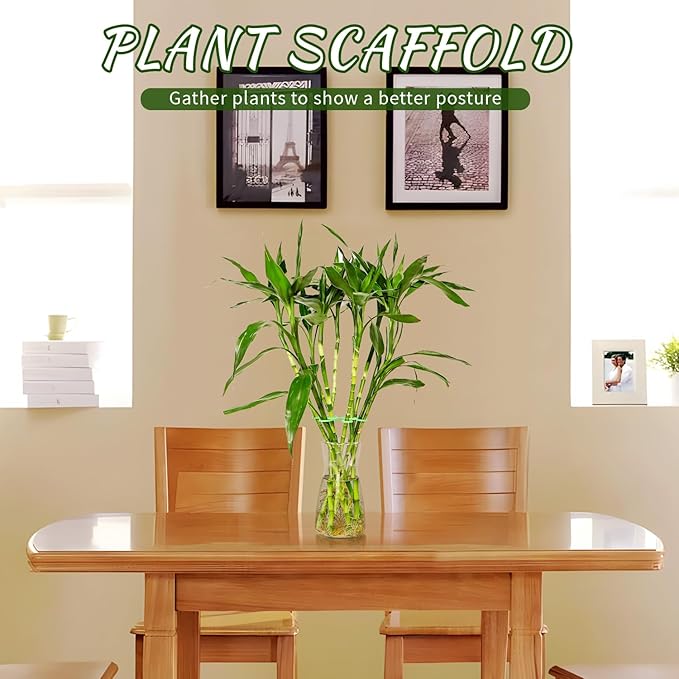 4 Pcs Plant Stem Supports for Indoor Plants, Assorted Sizes Plastic Plant Stabilizer Growth Accessories Plant Stakes Holders for Monstera Potted Climbing Plant (4, Green)