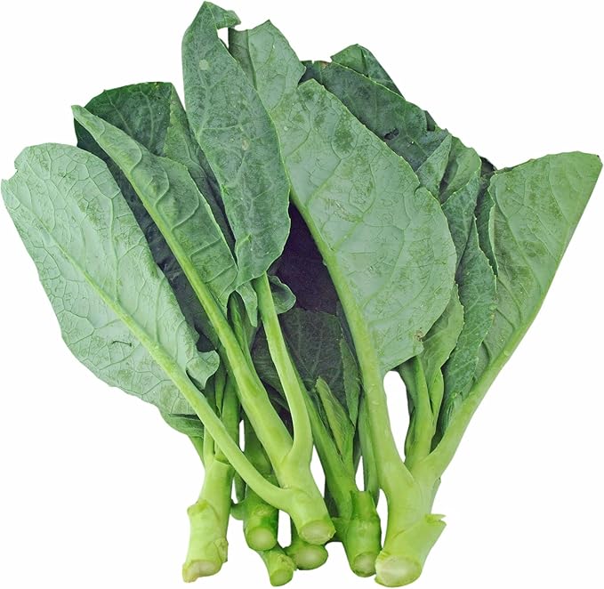 Chinese Cabbage Seeds - Wan Shen - 3 g Packet ~816 Seeds - Non-GMO, Heirloom - Asian Garden Vegetable & Microgreens