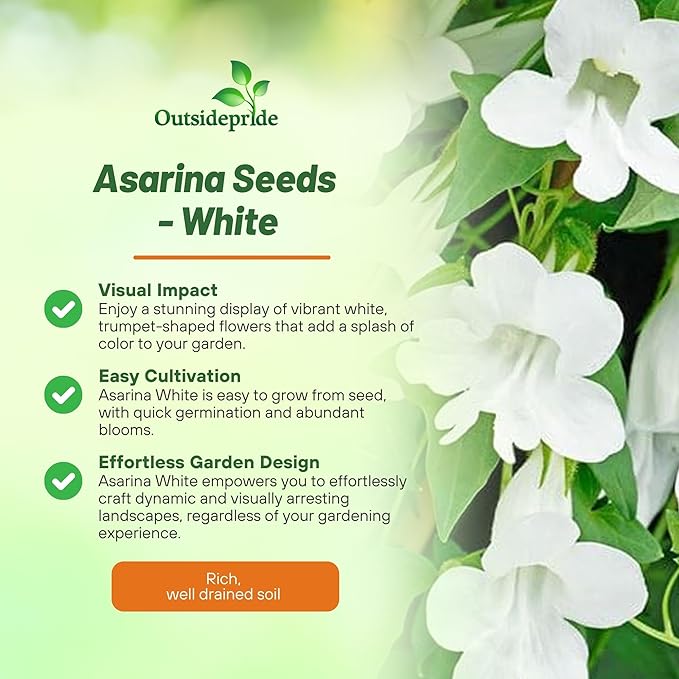 Outsidepride White Asarina Climbing Snapdragon Seeds - 200 Pcs Perennial Flower Seeds for Planting, Easy to Grow Climbing Vines w/Attractive Flowers for Containers, Trellises, & Ground Cover