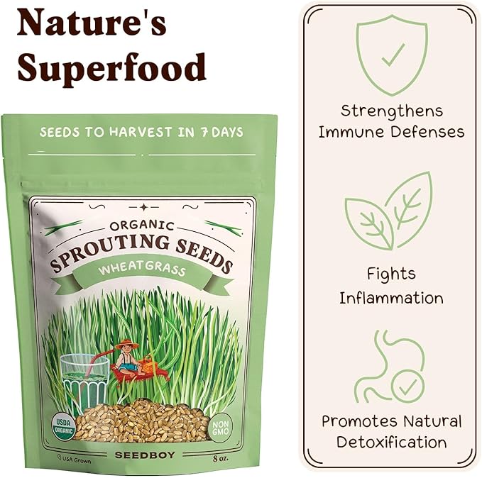 Seedboy Organic Wheatgrass Seeds – Hard Red Spring, Non-GMO, USA Grown Microgreens & Sprouting Seeds – 8 oz Bag Yields 8 Quarts (Hard Red Spring Wheatgrass)
