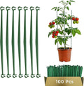 100pcs Garden Stakes Arms for Tomato Cage, Plant Trellis Connectors, Attach 0.43 Inch Dia Tomato Stakes and Plant Stick Supports, 11.8in Plastic Connecting Rod (11mm, No Stake)