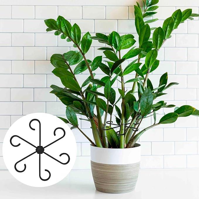 PAGOW 8 Pcs Climbing Houseplant Stem Supports, Black Plastic Flower Plant Growth Stakes Trellis, Reusable Plant Stem Holders, Stem Hook Growth Accessories for Plant Garden (4 Sizes)