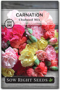 Sow Right Seeds - Chabaud Mix Carnation Seeds for Planting - Non-GMO Heirloom Dianthus Variety Ideal for Outdoor Gardens - Grow Large Carnation Plants - Easy to Sow and Bloom Beautiful Flowers (1)