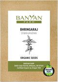 Banyan Botanicals Organic Bhringaraj Seeds – Eclipta Prostrata Seeds to Grow Your Own Ayurvedic Herbs – 50 Count – Open Pollinated Non-GMO False Daisy