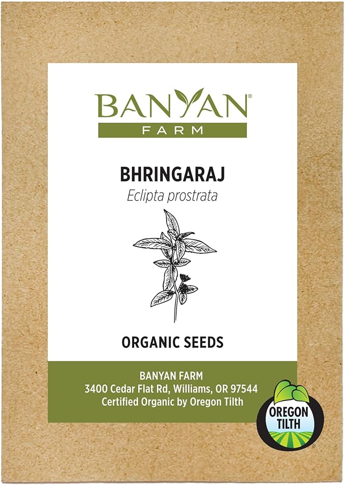 Banyan Botanicals Organic Bhringaraj Seeds – Eclipta Prostrata Seeds to Grow Your Own Ayurvedic Herbs – 50 Count – Open Pollinated Non-GMO False Daisy