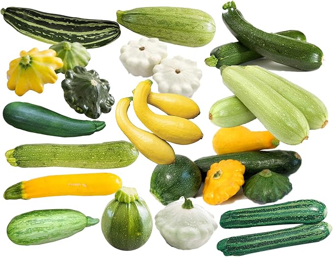 This is a Mix 50 Zucchini and Squash Mix Seeds 12 Varieties Non-GMO Delicious Grown in USA. Rare Super Profilic Cucurbita Pepo
