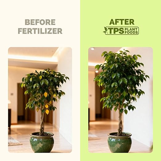 Ficus Tree Fertilizer – Liquid Plant Food for Lush Foliage, Stronger Roots & Healthy New Growth, 8 oz