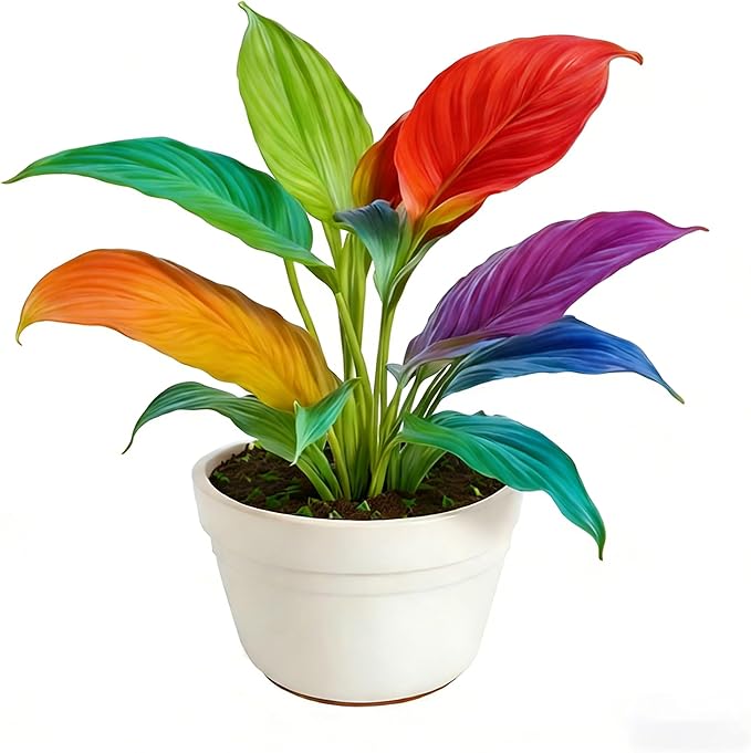 Hosta Seeds for Planting, 300pcs Rare Perennial Hosta Flower Seeds Plants, Non-GMO Heirloom Long Blooming Plants Shaded Entry Pathway Rare Flowers for Garden Outdoors