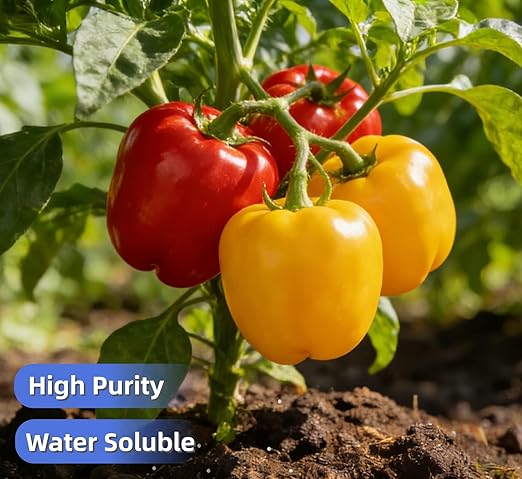 Calcium Nitrate 15.5-0-0 Fertilizer (6 lb) - Horticultural Grade Calcium Nitrate Soluble Plant Food for Hydroponics, Garden Plants, Fruit, Vegetables, Tomatoes