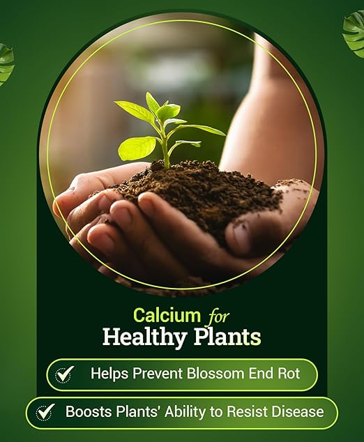 FoxFarm Happy Frog Tomato & Vegetable Fertilizer - Vegetable Fertilizer for Vigorous Feeders, 5-7-3 Blend with Calcium & Mycorrhizal Fungi, Supports Abundant Fruit Development, 4lb, Pack of 2