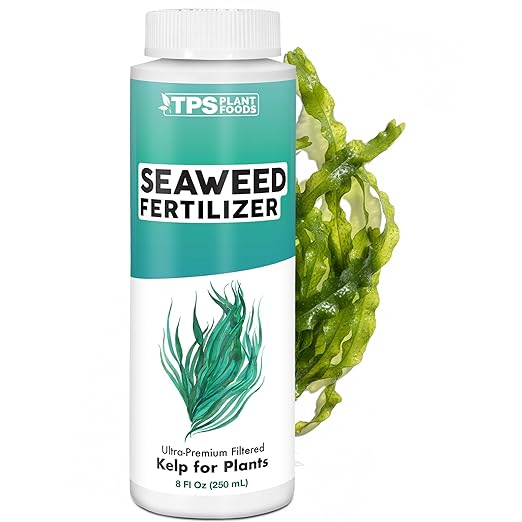 Seaweed Fertilizer – Organic Kelp Plant Food for All Plants, Boosts Nutrient Uptake for a Lush, Vibrant Garden, 8 oz