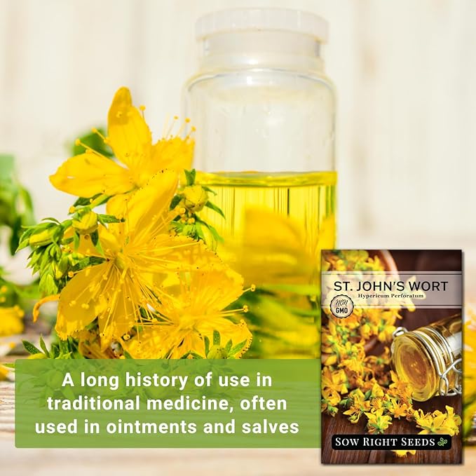 Sow Right Seeds - St John’s Wort Seeds for Planting - Non-GMO Heirloom Packet with Instructions to Plant & Grow an Outdoor or Indoor Herb Garden - Native Wildflower with Medicinal & Culinary Uses (4)
