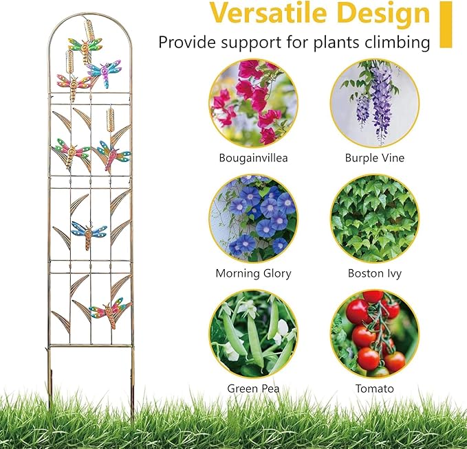 aboxoo Set of 2 Packs Dragonfly Metal Garden Trellis for Climbing Plants,Outdoor Decorative Flowers Arch Fence Trellis for Outdoor Patio,Garden,Lawn,Yard,Backyard,Wall Brackets,60'' H x 11'' W