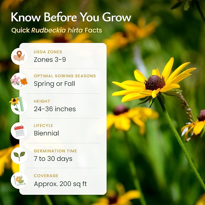 Created By Nature Black-Eyed Susan Wildflower Seeds, 55,000 Non-GMO Yellow Daisy Seeds