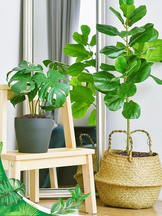3.2QT Monstera Soil Potting Mix - Natural Organic Tropical Plant Soil for Improving Growth Rate, Sustainable Houseplants Growing Media for Indoor Bonsai Succulents Moisture Retention Drainage
