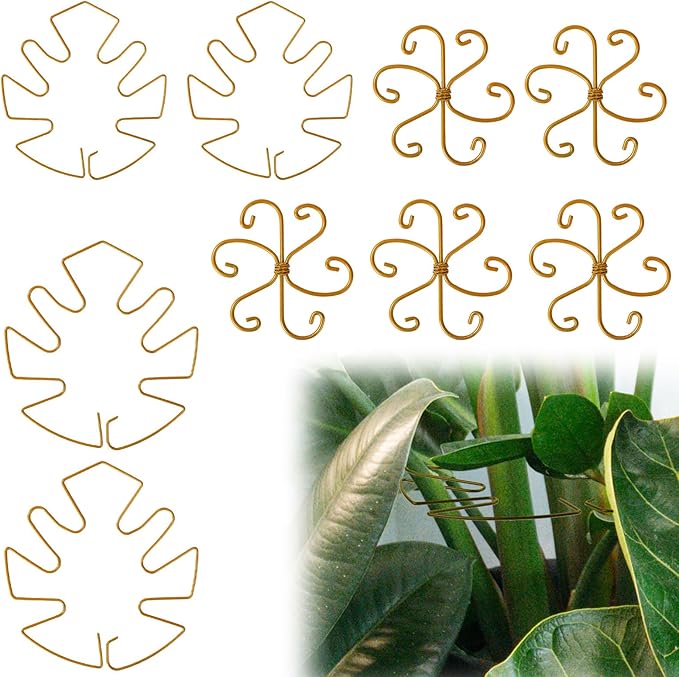 BOXOB 9pcs Climbing Houseplant Stem Supports, Metal Plant Climbers Stem Holders Reusable Flower Plant Stakes Trellis Hook Growth Accessories for Indoor Outdoor Growing, 2 Designs