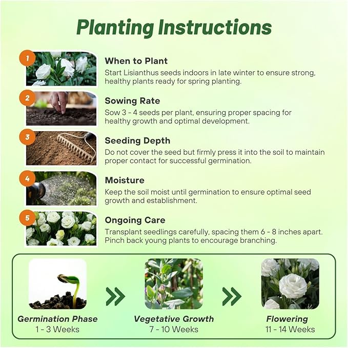 Outsidepride Lisianthus Sapphire White Flower Seeds - 50 Pcs. Annual, Versatile & Low Maintenance, Flower Seeds for Planting Prolific & Vibrant Double Blooms, Great for Cut Flower Arrangements