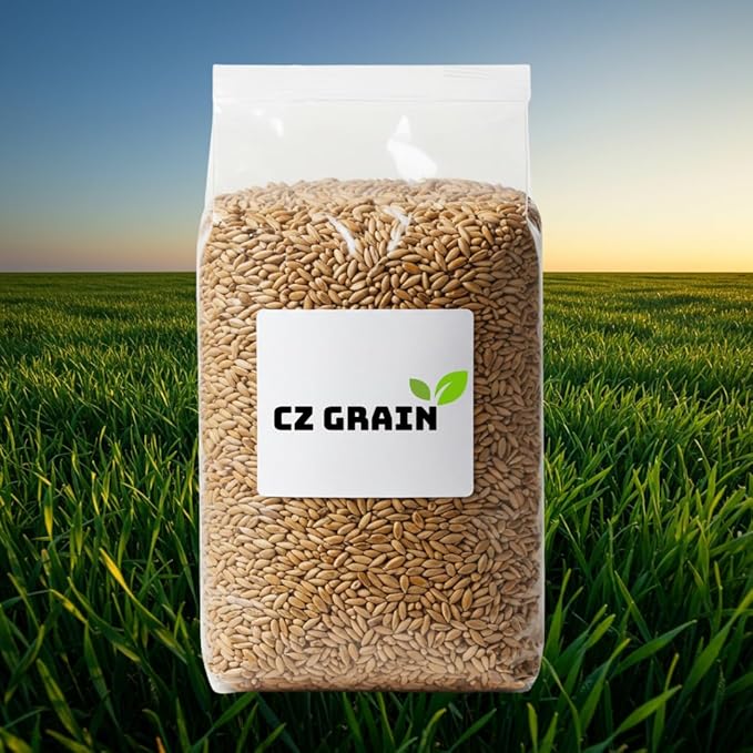 10 lbs No-Till Winter Rye Cover Crop Seeds – Non-GMO Rye Grass Seed for Soil Improvement, Erosion Control & Weed Suppression – Hardy Winter Rye for Deer, Turkey & Wildlife Food Plots