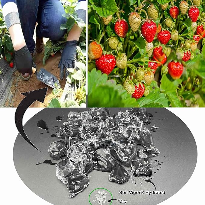 Potassium Polyacrylate for Garden Lasts Up to 7 Years in Soil (1)