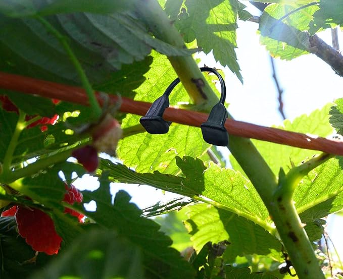 Plastic Vine Clip Garden Plant Support Clip Plant Tomato Grape Raspberry Kiwi Vine Clip Suitable for 9#-12# lines