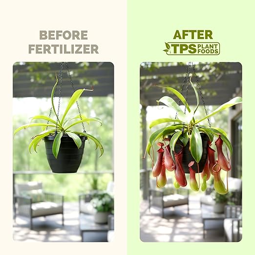 Pitcher Plant Food – Liquid Plant Food for Healthy Pitcher Development, Vibrant Color & Strong New Growth, 32 oz