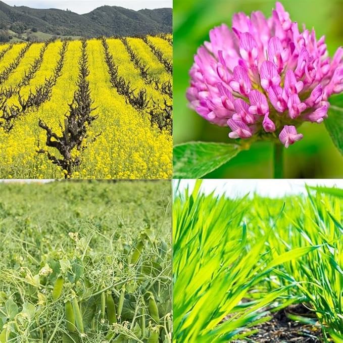 Spring Mix Cover Crop Seeds – 1 lb (~9,600 Seeds