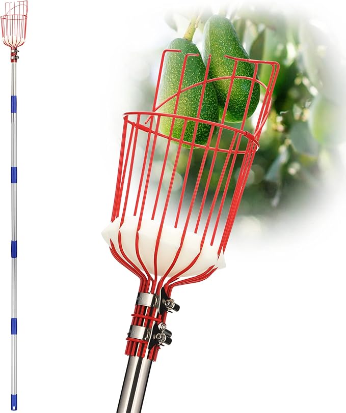 DonSail DnSail Fruit Picker Pole Tool with Basket Telescoping - Adjustable Mango Picker 35-68 inch Long Handle - Apple Orange Avocado Acorn Lemon Pear Pomelo Chery Picker for Tree